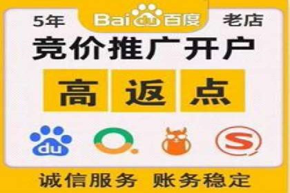百度推广代运营公司成功案例：精准投放广告的秘诀